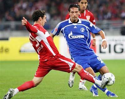 们揭示了他 们揭示了他