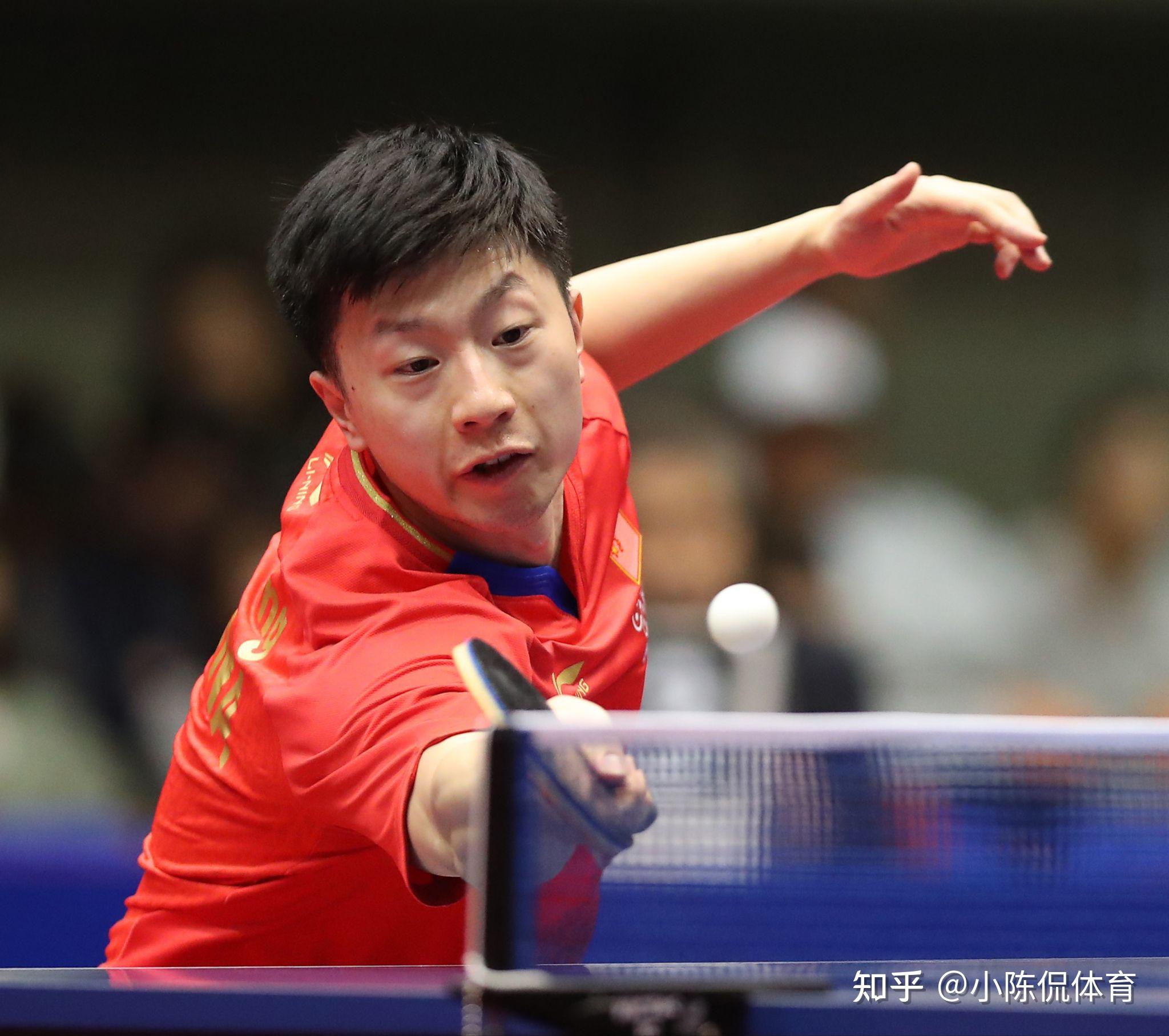 迷的共同努 迷的共同努