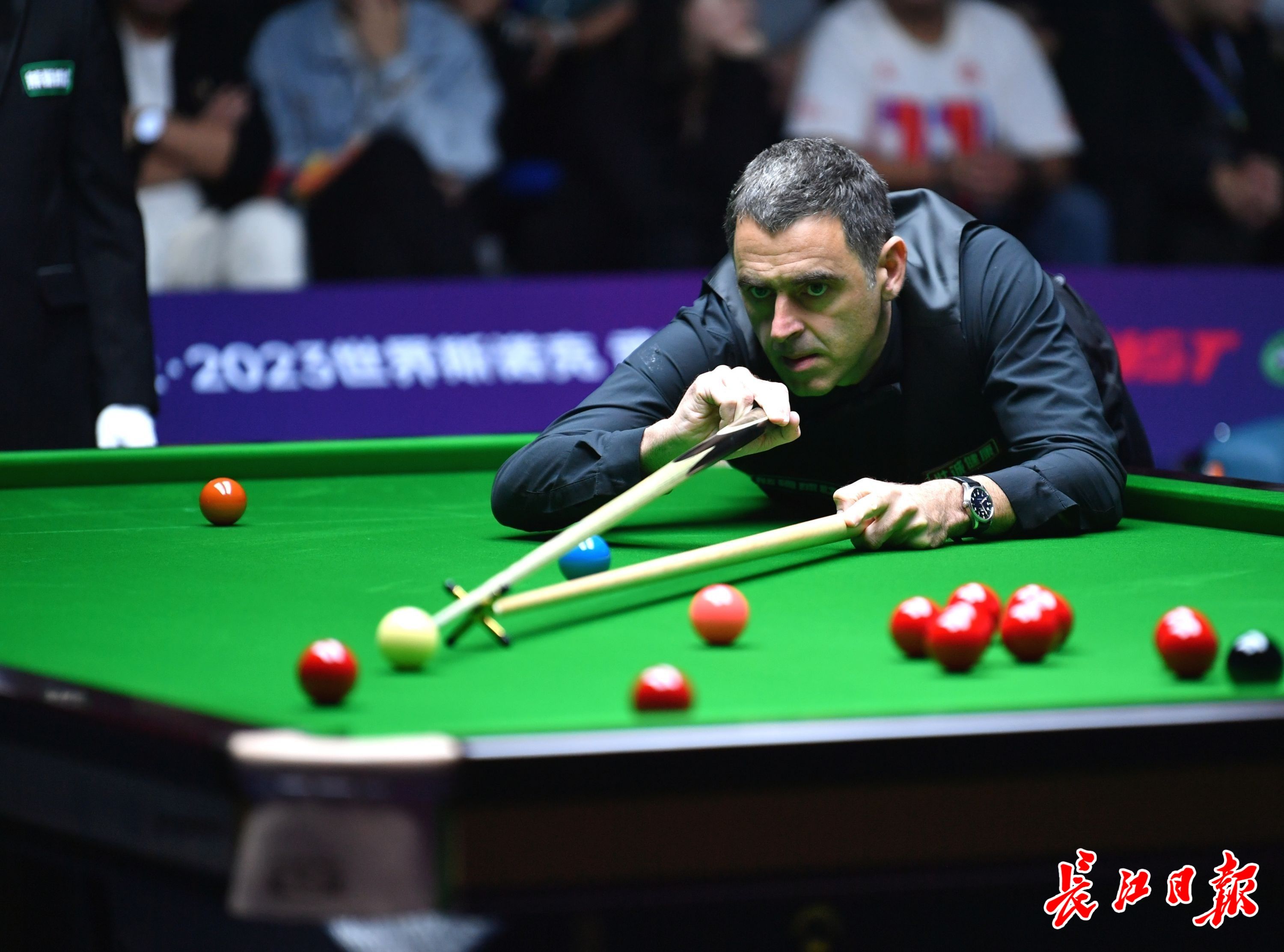 杯的冠军 杯的冠军